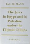The Jews In Egypt And In Palestine Under The Fatimid Caliphs Vol. 2